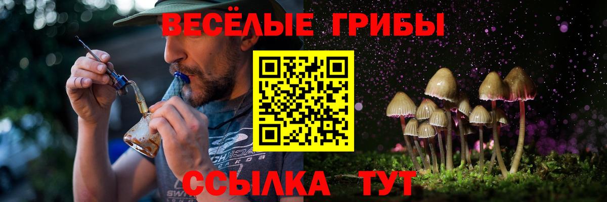 Ижевск  Псилоцибиновые грибы мицелий  Вход с VPN  Галлюциногенные грибы Cubensis 
